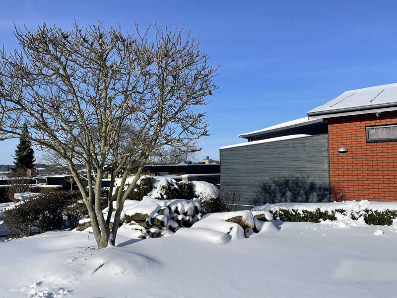 2026/02Koldeste vinter i 16 år